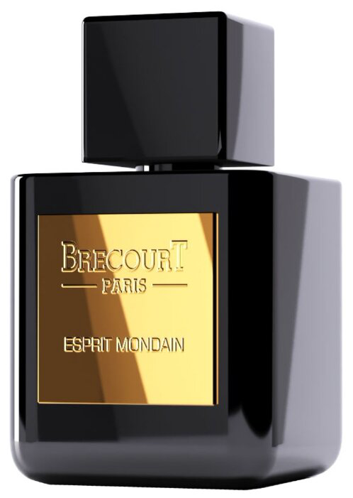 Парфюмерная вода Esprit Mondain от Brecourt описание и отзывы