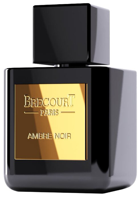 Парфюмерная вода Ambre Noir от Brecourt описание и отзывы